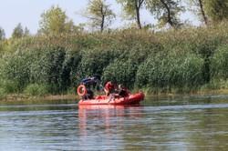 Wiceszefowa GIOŚ: Zanieczyszczenia w Odrze mogą być pochodzenia przemysłowego