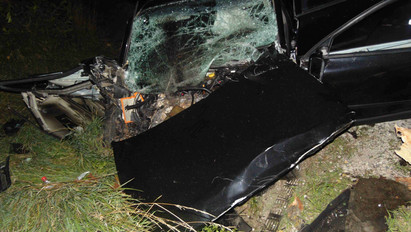 Túl gyorsan hajtott, kidőlt fának ütközött egy autós Sátoraljaújhelynél – fotók