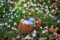 już jest prognoza pogody na wielkanoc 2026. miejscami nawet 20 stopni, mozliwy deszcz