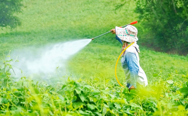 Mniej szkodliwych pestycydów. Komisja Środowiska Parlamentu Europejskiego ma propozycję