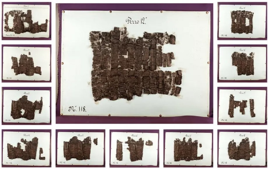 12 brązowych fragmentów otwartego zwoju papirusu z Herkulanum, znanego jako P.Herc.118 z Bodleian Library na Uniwersytecie Oksfordzkim