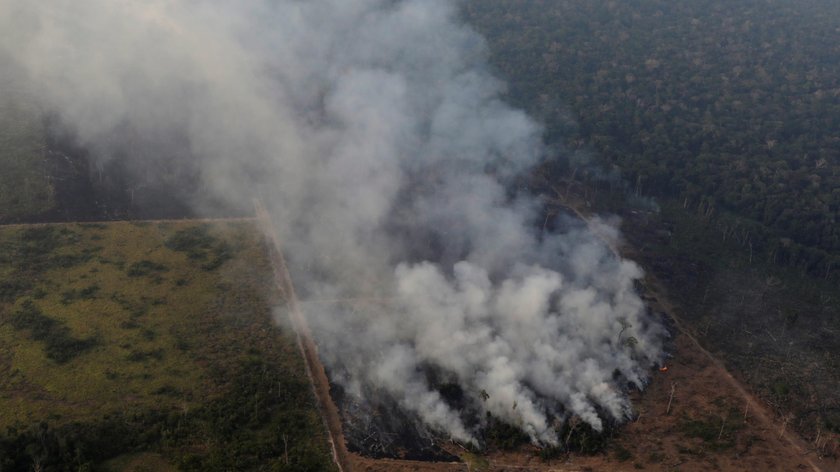 Pożar Amazonii. Płoną lasy deszczowe. Płuca świata zagrożone ogniem