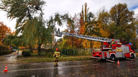 Połamane drzewa i gałęzie. Strażacy usuwają skutki silnego wiatru