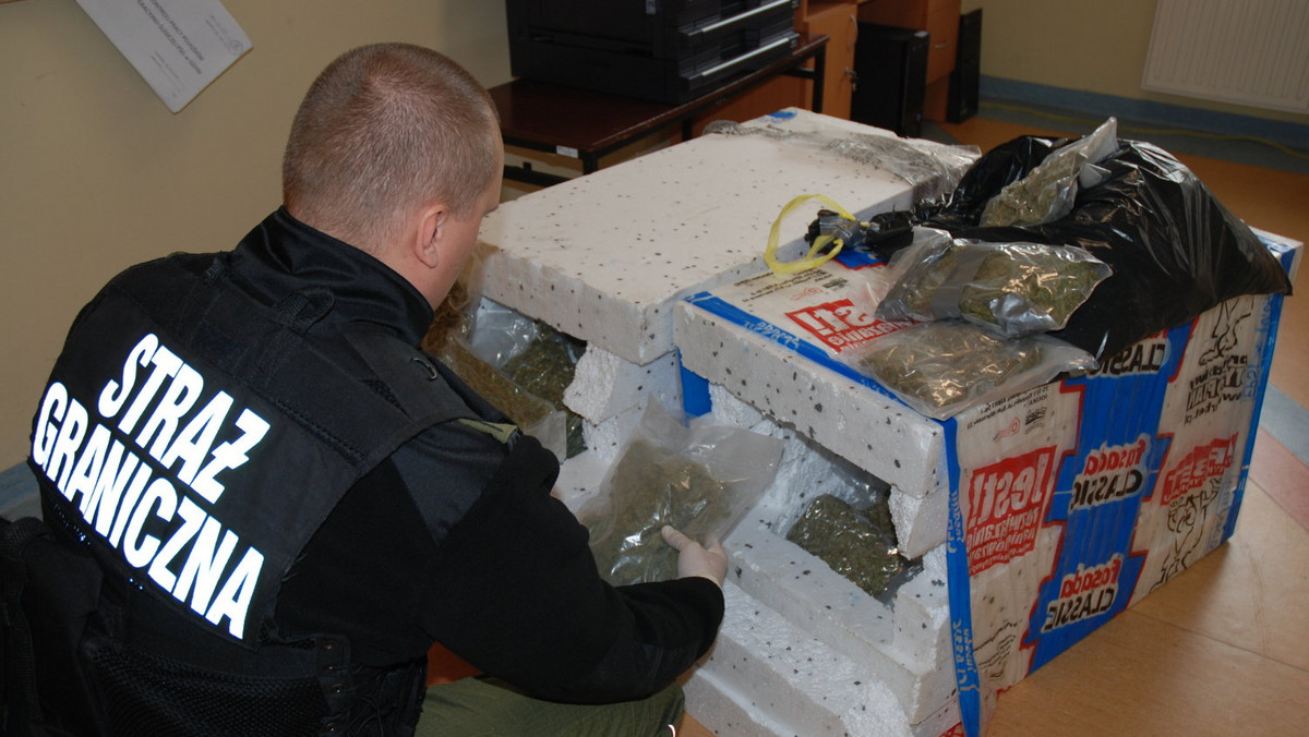 Cztery osoby zatrzymane za narkotyki. 17 kilogramów marihuany przechowywali m.in. w styropianie. Wartość czarnorynkowa suszu to ponad 740 tysięcy złotych.