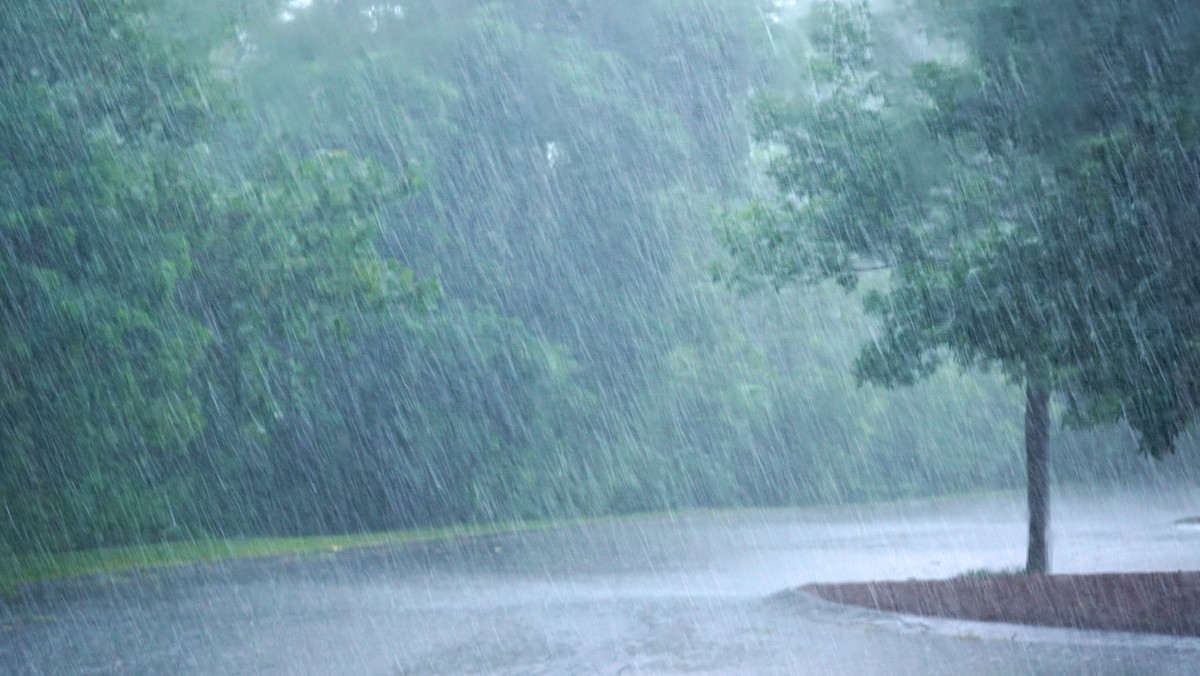 Silne opady deszczu mogą zagrażać mieszkańcom wschodnich obszarów Polski. Instytut Meteorologii i Gospodarki Wodnej wydał ostrzeżenie pierwszego stopnia przed silnym deszczem z burzami dla województwa podlaskiego. IMGW ostrzega również przed intensywnym deszczem w woj. podkarpackim.