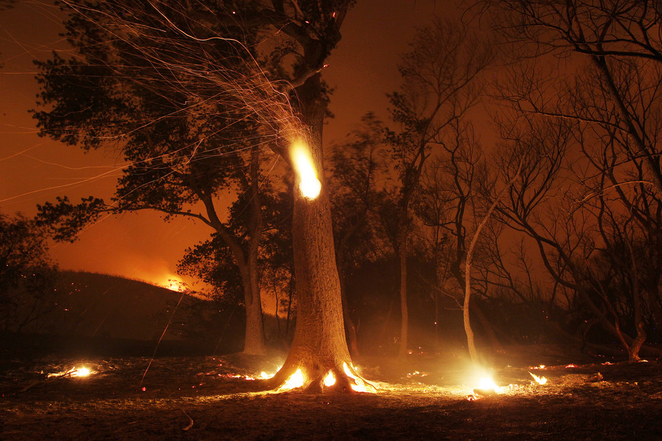 Kalifornia, fot. Getty Images/FPM