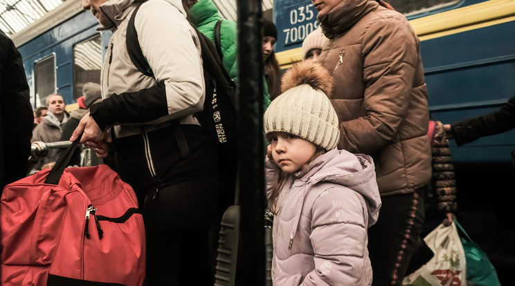  Ukrán családoknak, kárpátaljai magyaroknak, összesen 120 menekültnek ad ingyenes szállást egy tatabányai üzletember/ Fotó: Northfoto