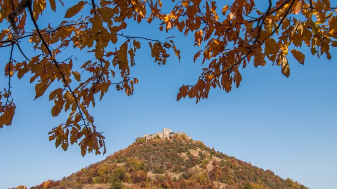 Koznik