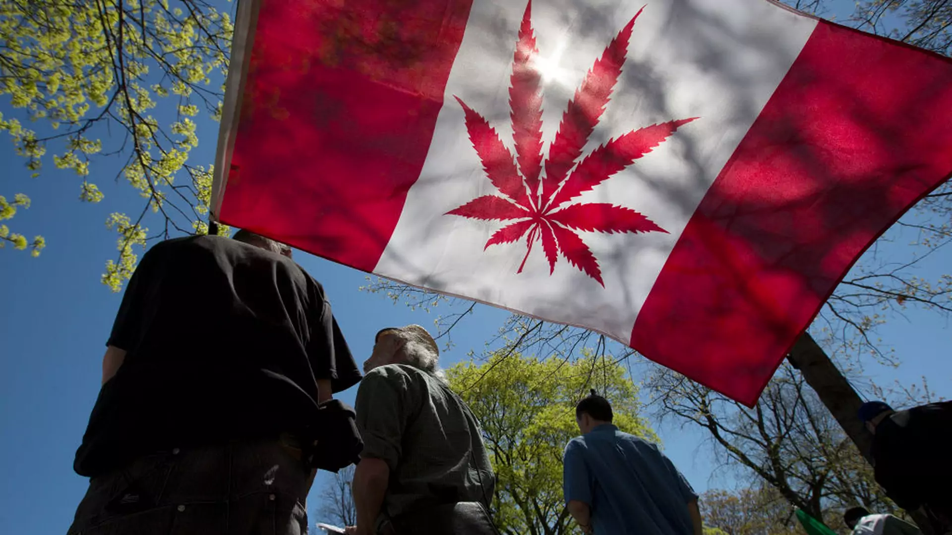 Legalizacja marihuany w Kanadzie to fiasko? Wielu wciąż kupuje ją od dilerów