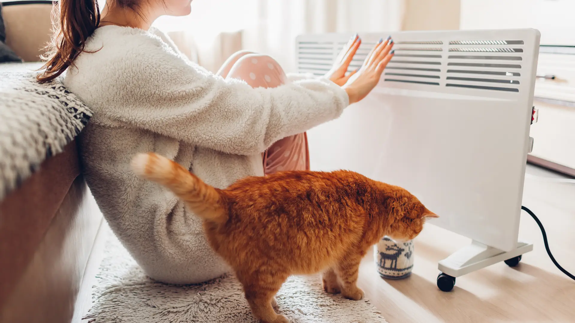 Dogrzewanie mieszkania. Termowentylator, grzejnik olejowy czy konwektorowy?