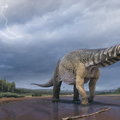 Znalezione w Australii kości giganta to zupełnie nowy gatunek dinozaura. Był rozmiarów Boeinga 737