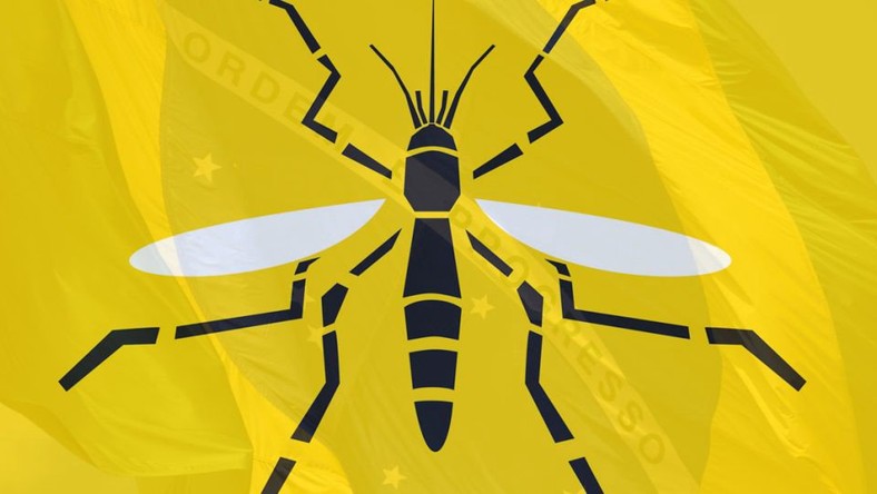 yellow fever