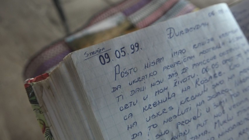 Dnevnik Vladimira Ilića