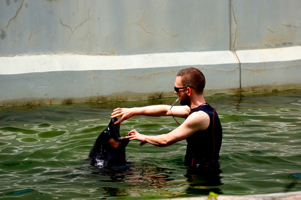 Nowe atrakcje w zoo we Wrocławiu