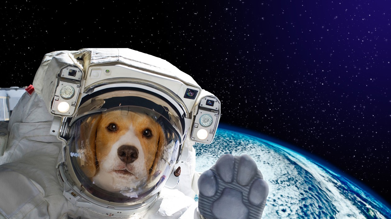 Otestujte sa, ako dobre poznáte ikonické historické prvenstvá! (Ilustračný obrázok)