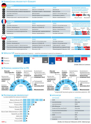 Sondażowe priorytety Europy