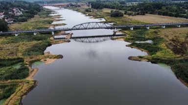 Jest wstępny raport w sprawie skażenia Odry. Rządowy zespół obwinia złotą algę