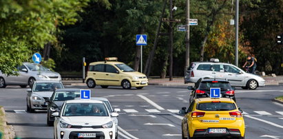 Elki blokują Winogrady