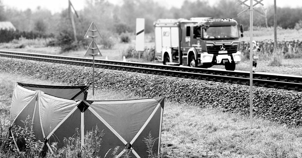 Tragedia na Podkarpaciu. Szynobus potrącił dziadka i wnuczkę