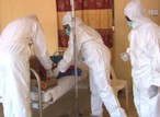 Lassa fever cases rise significantly with 162 deaths in 2024