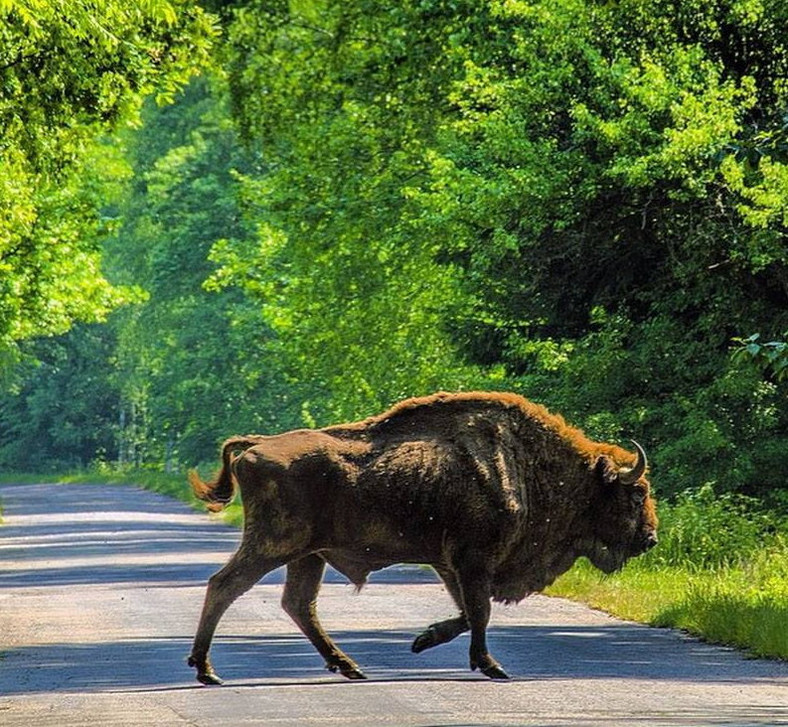 Z tym samotnym podróżowaniem to chyba nie do końca prawda., fot. http://www.banita.travel.pl