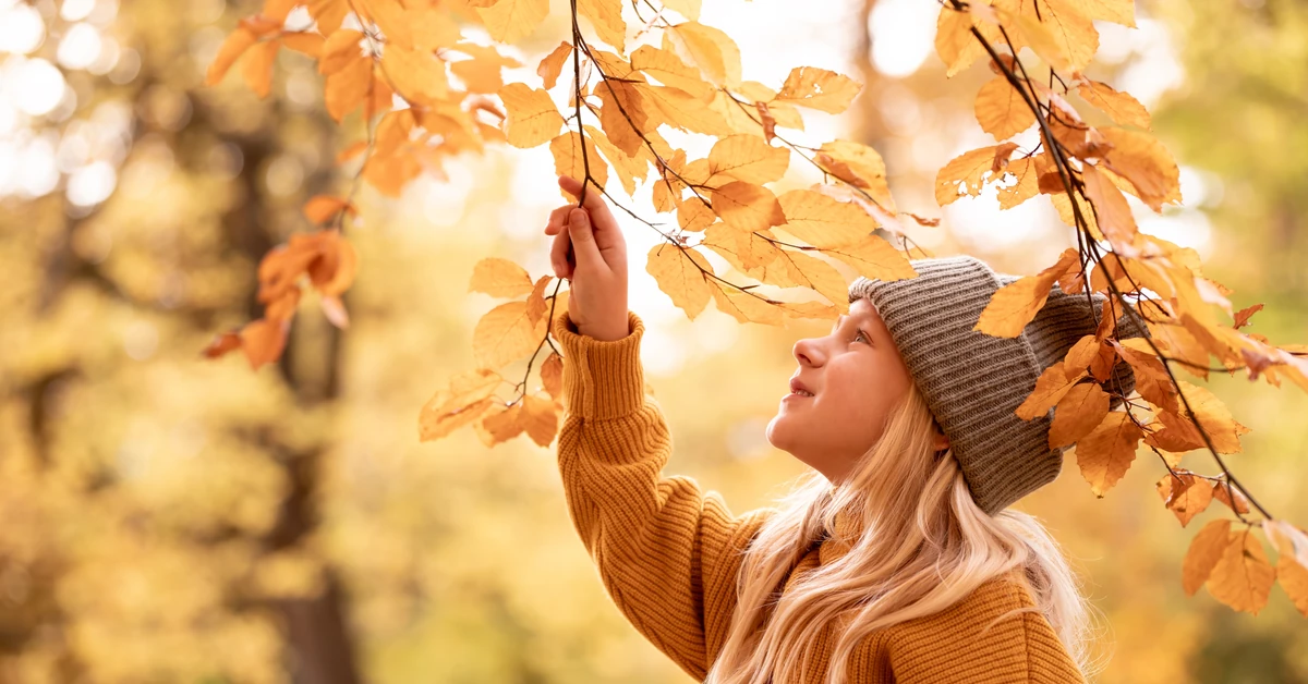 Jak się ubrać w czwartek? Oto poradnik ubioru dla uczniów oraz prognoza pogody na 13 listopada 2025