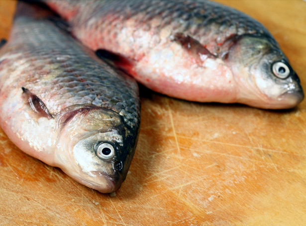 Świąteczny karp będzie koszmarnie drogi