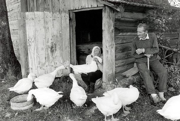 WYRÓŻNIENIE Podlasie Autor_Michał Najberg_02