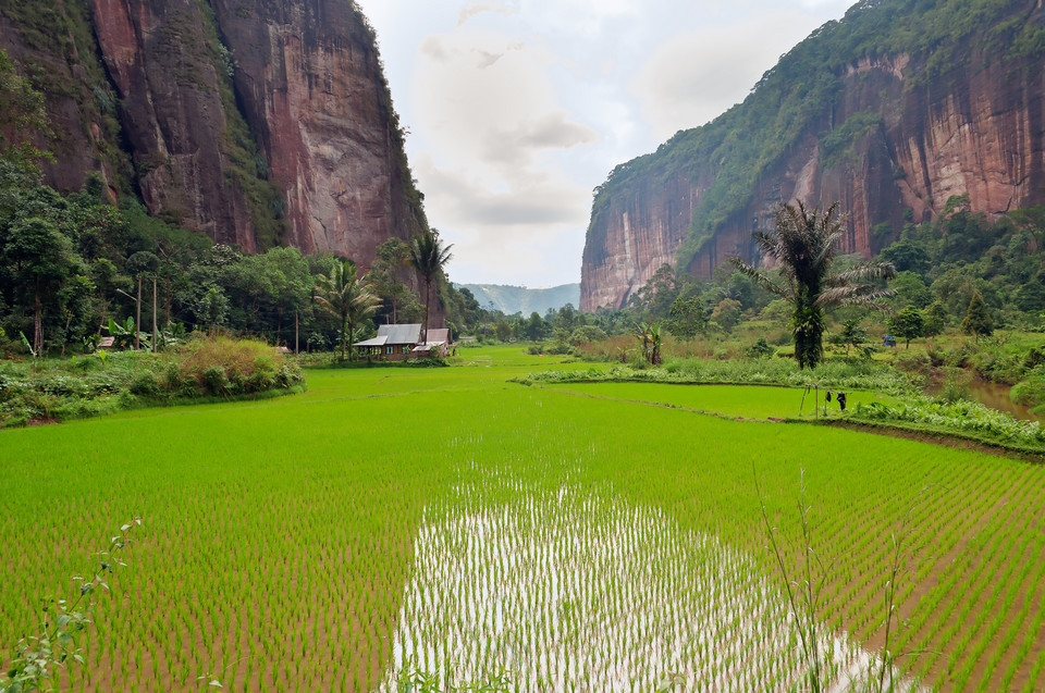 Dolina Harau, Indonezja