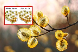 Będzie rekord w historii pomiarów? Pogoda w Wielkanoc zaskoczy