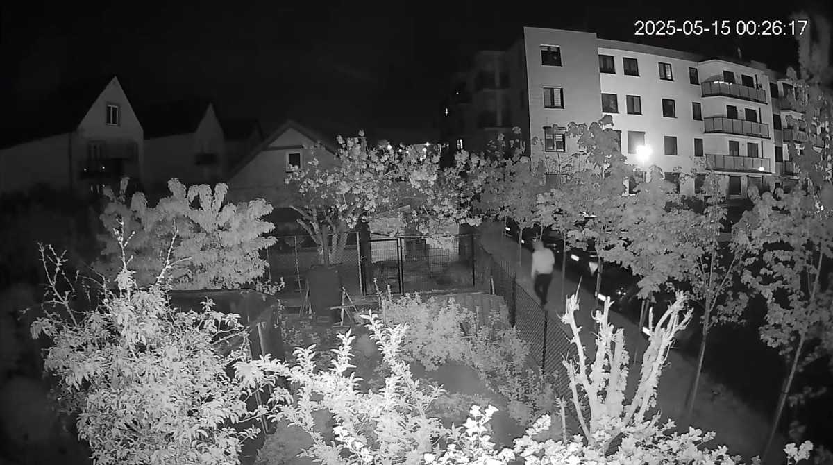 Cztery razy oblał psa sąsiadki farbą. Tym razem się nie wywinie