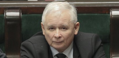 PiS miażdży konkurencję. Zaskakujące wyniki sondażu