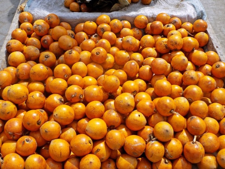 African star apple/Agbalumo/Udara [Premium times ng] 