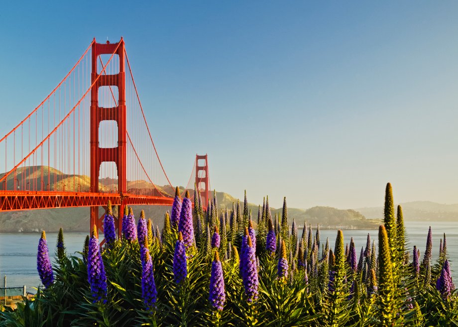 Most Golden Gate w San Francisco, gdzie rozwijająca się branża technologiczna przyciągnęła wielu zamożnych ludzi. 