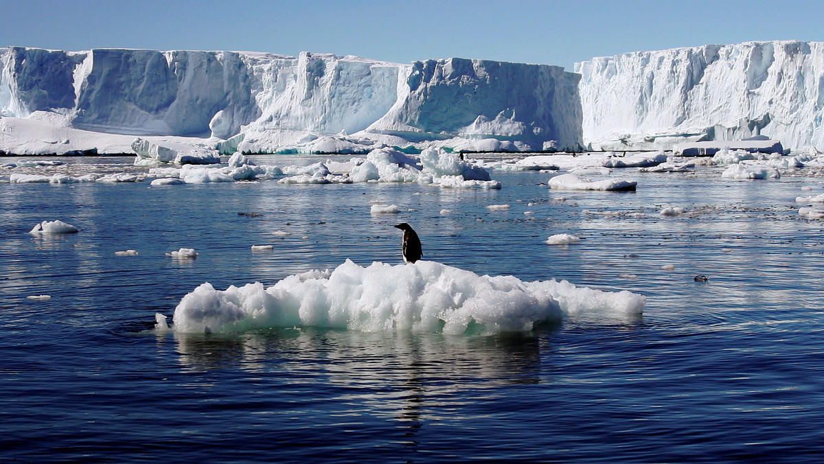 File photo of an Adelie penguin standing atop a block of melting ice near the French station at Dumont díUrville in East Antarctica