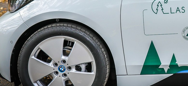 Lasy Państwowe przesiadają się do nowych BMW. Volkswagen przegrał milionowy przetarg