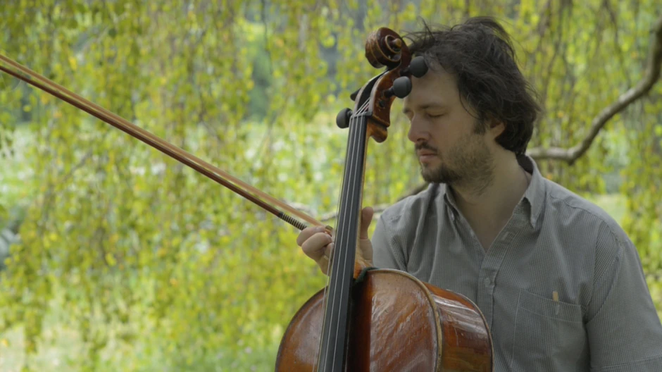 Desna strana violončela