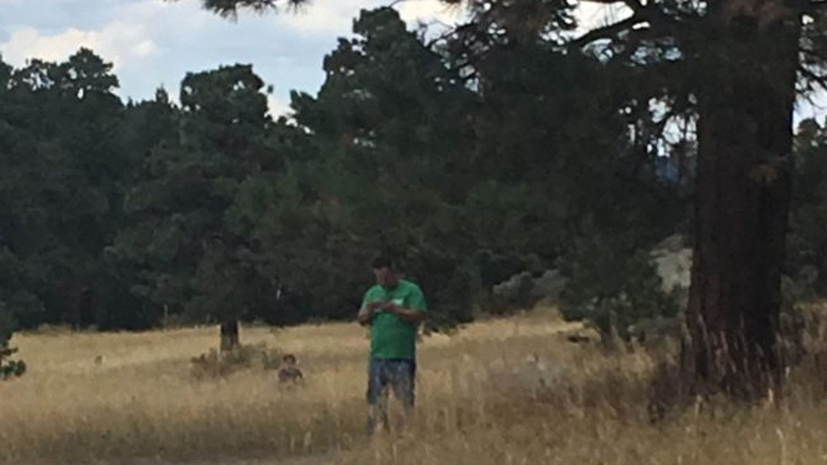Pewien turysta wraz ze swoją dziewczyną wybrali się na wycieczkę do Parku Three Sisters w Evergreen, w stanie Kolorado. Kiedy wrócili do domu i zaczęli oglądać zdjęcia ze swojej wyprawy, zauważyli na nich coś niezwykłego. Ich historię i zdjęcia opublikowała w serwisie Reddit córka mężczyzny.