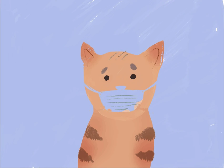 Bolje je obratiti pažnju na higijenu ljubimca nego ga staviti u izolaciju