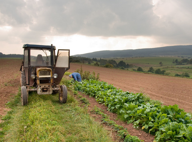 Projekt zmian legislacyjnych dotyczących rolnictwa