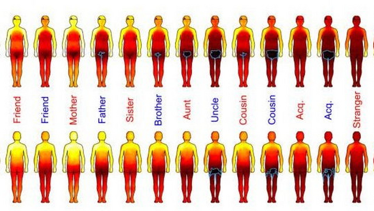 Dotyk to bardzo intymna kwestia i istnieją pewne granice w fizycznych relacjach z drugą osobą. Naukowcy stworzyli specjalną grafikę, która obrazuje granice komfortu dla kobiet i mężczyzn, które są zależne od poziomu zażyłości ich zażyłości.