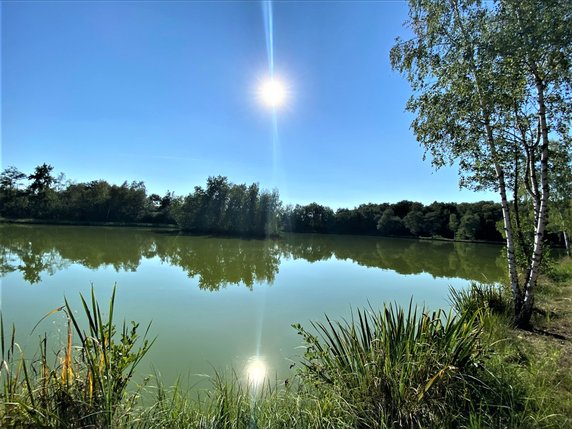 W Krakowie powstanie nowy park! To Park Rzeczny Tetmajera