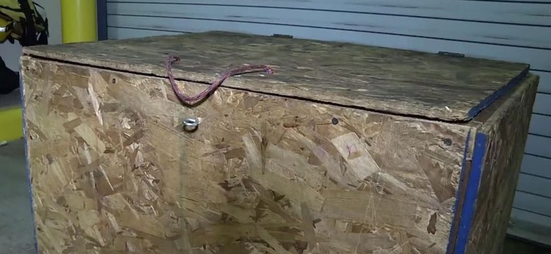 3-letnia dziewczynka zamknięta w drewnianej skrzyni. Zarzuty znęcania się dla opiekunów