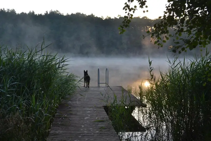 Dom Pod Gruszą/SlowHop