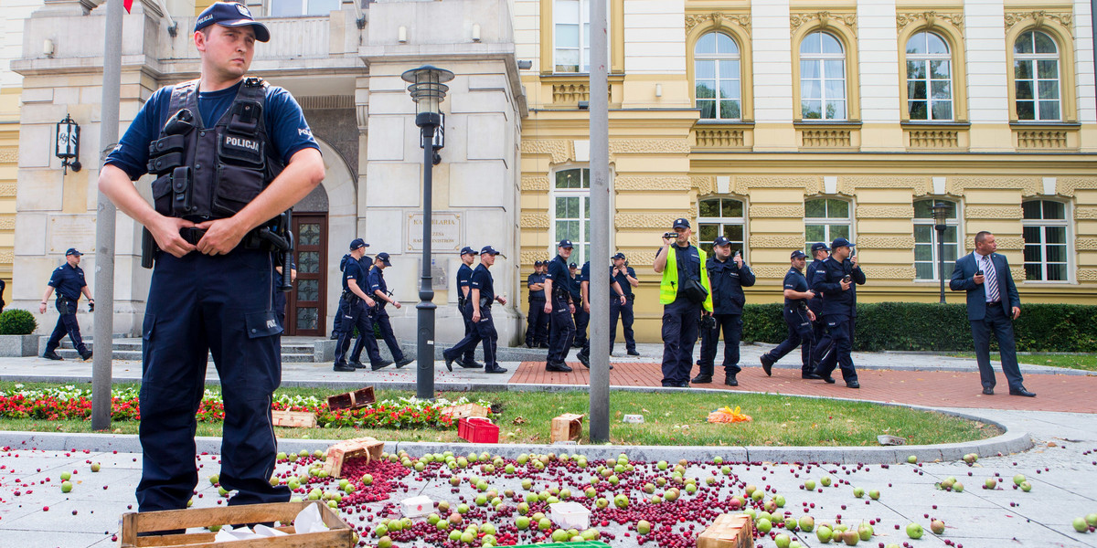 13 lipca rolnicy protestowali w Warszawie. Domagali się reakcji rządu m.in. na niskie ceny skupu owoców