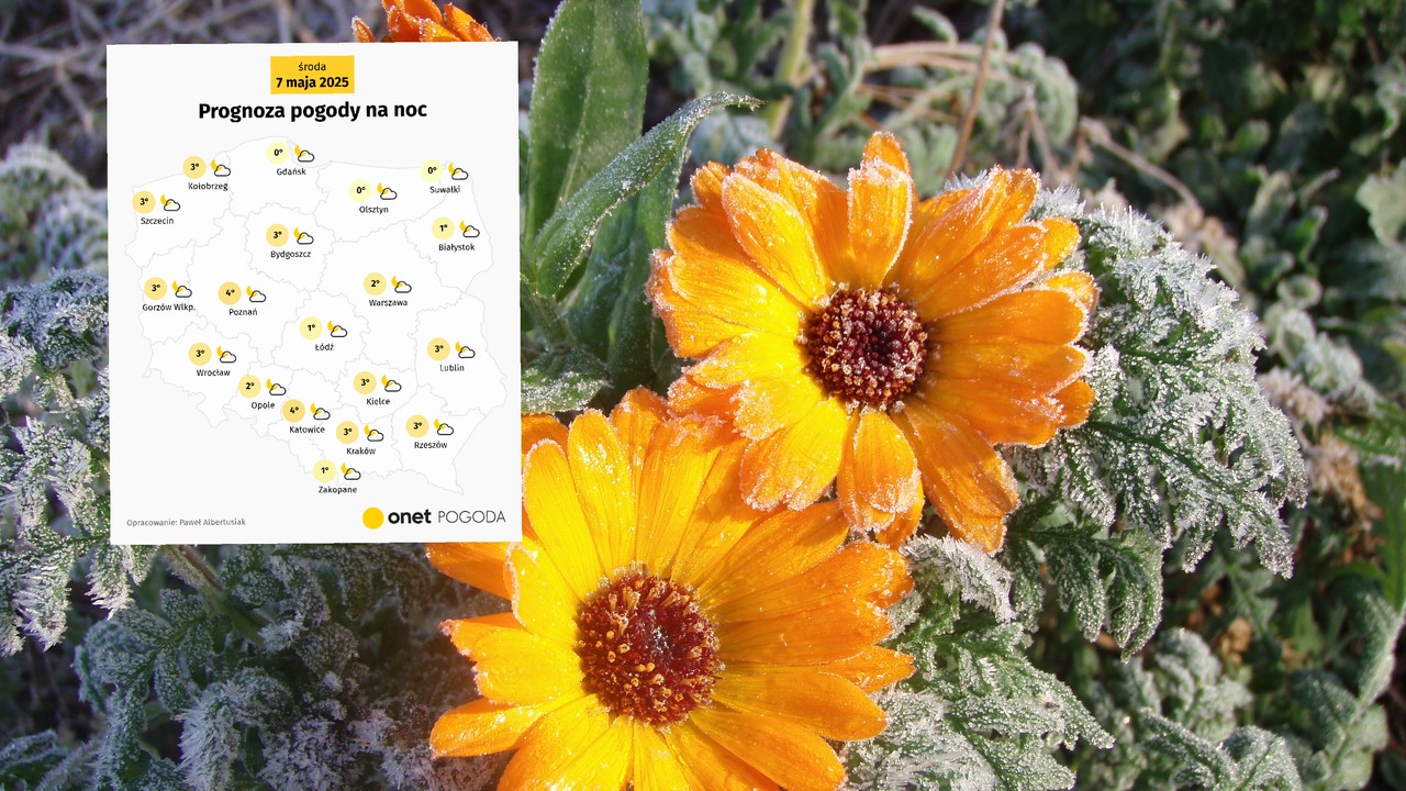Antycyklon Riccarda dotrze do Polski. O ciepłej wiośnie możemy zapomnieć [POGODA]