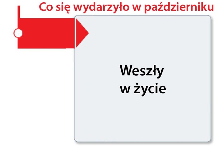 <b>Weszły w życie</b>

<b style=
