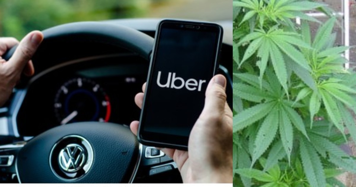 Uber introduces new service for customers to order cannabis - Vimarsana News