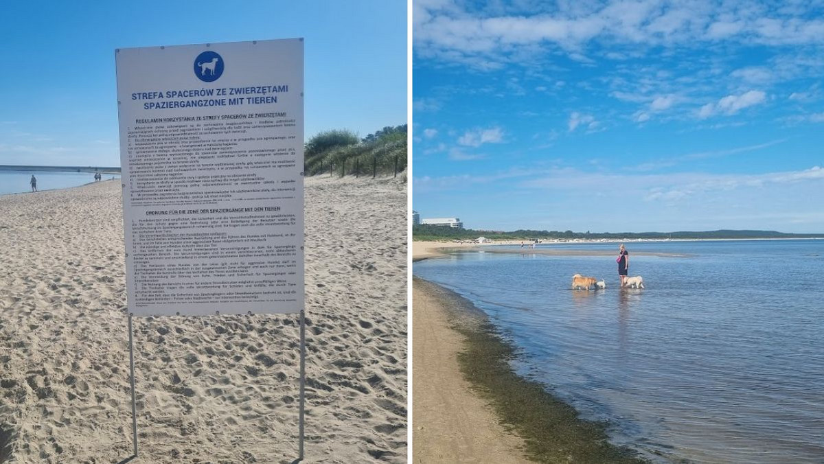 Polacy wypoczywają nad morzem. Wiele osób narzeka na jedno