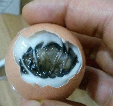 Ohydne znalezisko w jajku